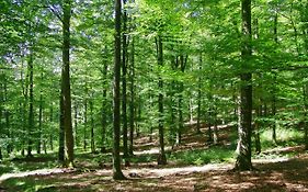 Gites La Tabatiere